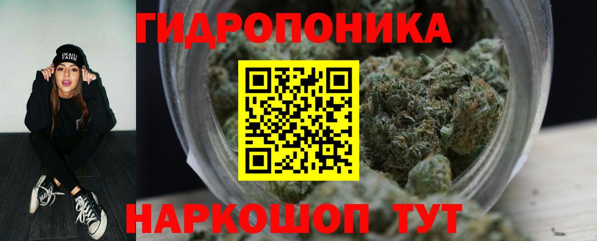 Канабис гибрид Сертолово